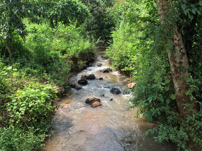 Valley of birds chikmagalur homestay Farm